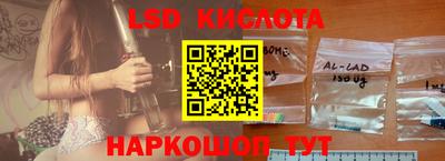 стаф Новокубанск