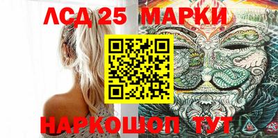 спиды Новозыбков