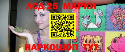 спиды Новозыбков