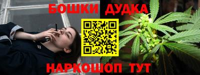 стаф Новокубанск