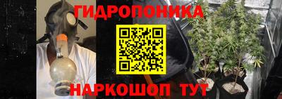 бошки Новодвинск