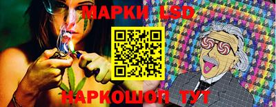 стаф Новокубанск
