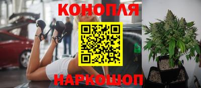бошки Новодвинск
