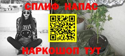 спиды Новозыбков