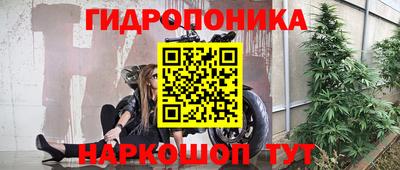 бошки Новодвинск