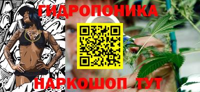 спиды Новозыбков