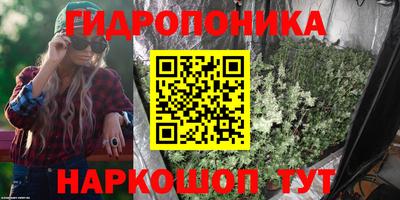 спиды Новозыбков