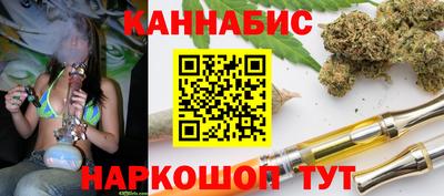 стаф Новокубанск