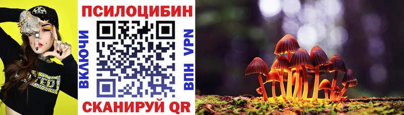 Псилоцибиновые грибы ЛСД  mega   Тайшет 