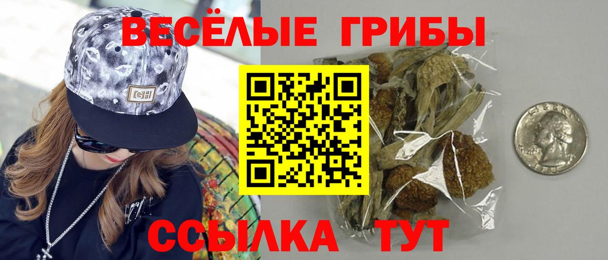 Галлюциногенные грибы MAGIC MUSHROOMS  Вход с VPN  закладки  Тайшет 